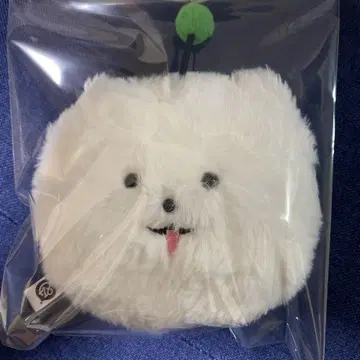 에이토리 슈마이 누이위즈 에코백