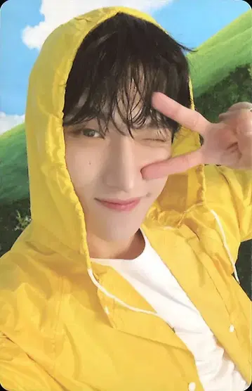 세븐틴 DK 세븐틴스 헤븐 캐럿