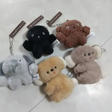 니코야마 포케 앉은 코알라 봉제 인형 부차구미 가챠 세트