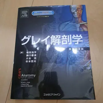 그레이 해부학