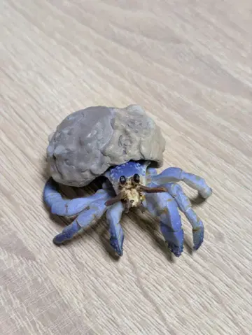 에포크사 지구 생명기행 게, 새우, 오카야도카리, 야도카리 피규어