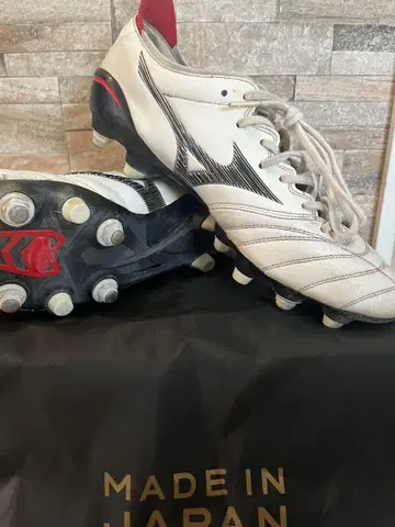 Mizuno 미즈노 모렐리아 네오 2 SG