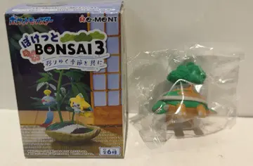리멘트 포켓 BONSAI3 도다이토스 4