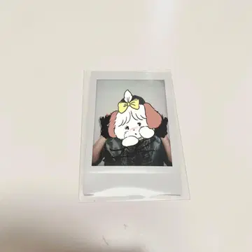 EVNNE 지윤서 윤서 사인 폴라로이드 SOUNDWAVE