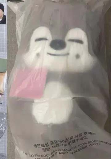 straykids 스키즈 테디베어 SKZOO 울프찬 teddy