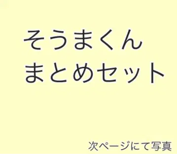 소마군 정리 세트