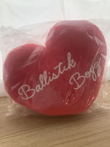 BALLISTIK BOYZ 쿠션