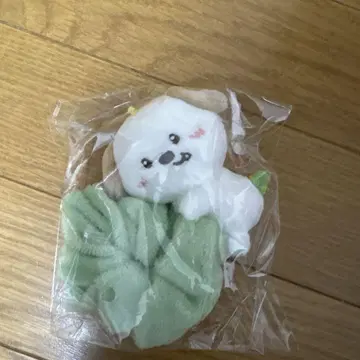 RIIZE 스크런치 앤톤 미개봉 새상품