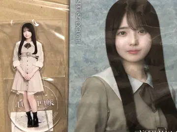 세토구치 코즈키 개별 캔뱃지 홀더 네이블 오렌지