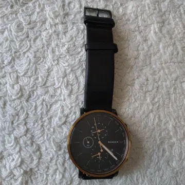 SKAGEN SKW6300 손목시계 블랙