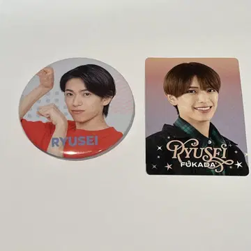 후카다 류세이 배지 및 프로필 카드 세트