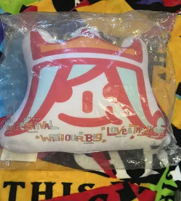 아라시 페스티벌 13 쿠션