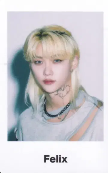 스트레이키즈 펠릭스 스카즈 공식 상품 폴라풍