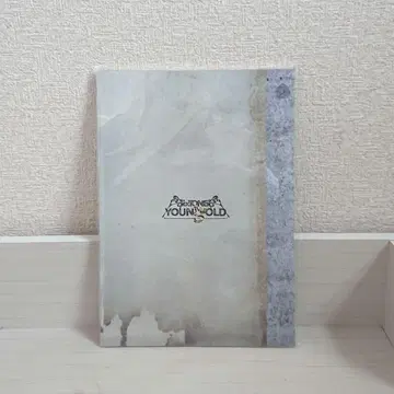 SixTONES YOUNGOLD 팜플렛 YOUNG OLD