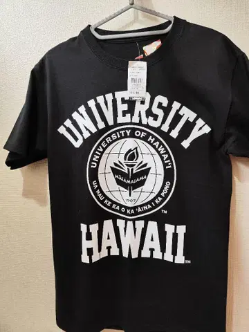 하와이 대학 UNIVERSITY HAWAII 티셔츠 S 사이즈