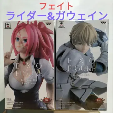Fate/EXTRA Last Encore 라이더&가웨인 2체 세트