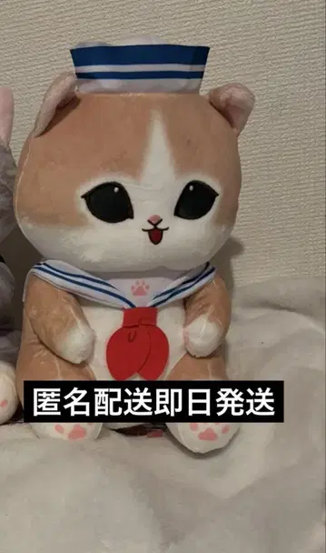 mofusand 세일러 냥 BIG 봉제 인형 블루