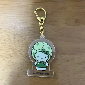 Hello Kitty C. leptoporus 키링