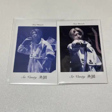 Sir vanity 와타나베 다이세이 혜택