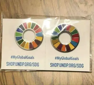 SDGs 핀 배지 2개 세트, UN 구매 상품