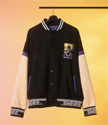 .ENDRECHERI. 바시티 자켓