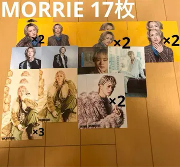 [낱개 판매 가능] BUDDiiS MORRIE 브로마이드 17장 세트