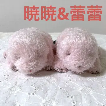 생후 1일째 실제 크기 팬더 새끼 샤오샤오와 레이레이 우에노 동물원