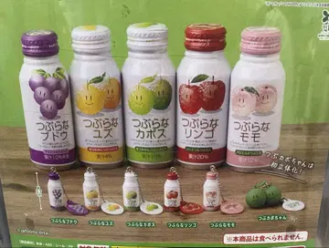 가챠  총 6종