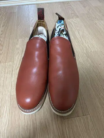 레드윙 사이드 고어