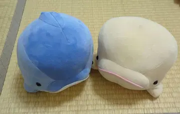 핫케이지마 씨 파라다이스 돌고래 봉제 인형 파랑과 화이트