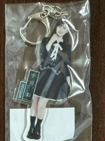 노기자카46 오가와 아야 네이블 오렌지 아크릴 키링