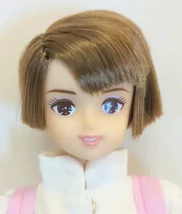 타카라 제니 프렌드 수지 제니 페스티벌 한정판