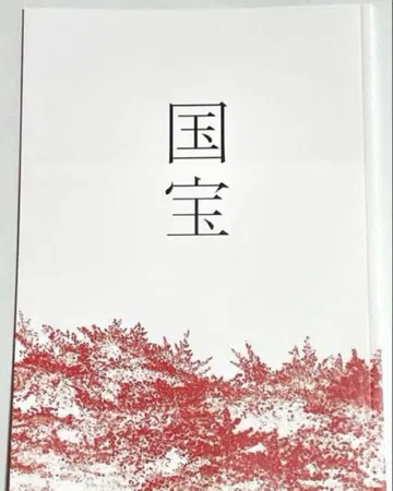 새상품 미개봉 영화 국보 팜플렛 요시자와 료 요코하마 유성