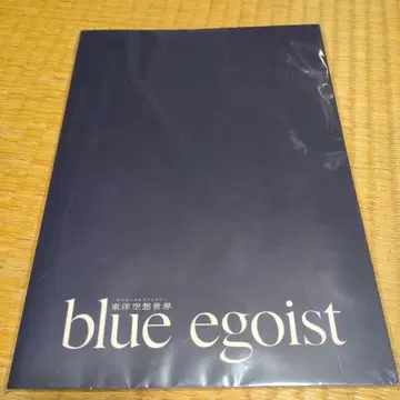 동양 공상 세계 블루 에고이스트 팜플렛