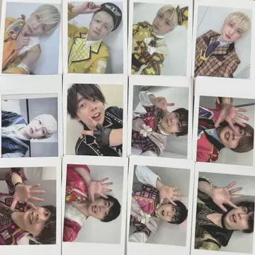 팬더 드래곤 요타 나기 하피카 12장