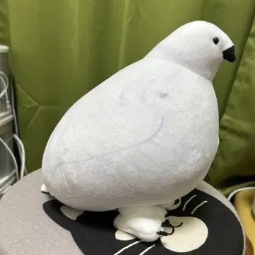 펠리시모 라이쵸 레이쵸