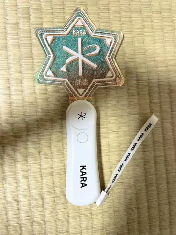 KARA 팬미팅 공식 응원봉
