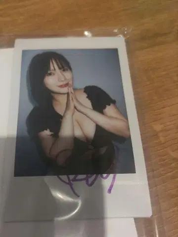 고죠 코이 친필 사인 폴라로이드