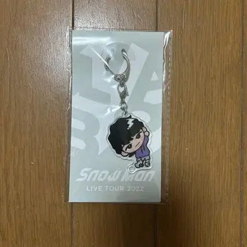 미개봉 SnowMan 스노우 칠 후카사와 타츠야 아크릴 키링
