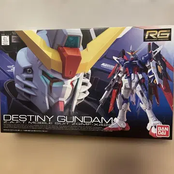 RG DESTINY GUNDAM ZGMF-X42S 반다이