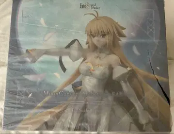 Fate/Grand Order 문 캔서/아키타입: 어스 1/7