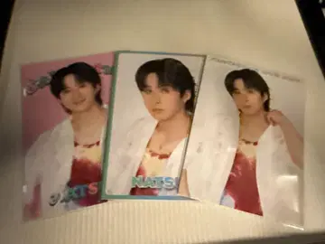 FANTASTICS 사와모토 나츠키 포토 카드 3종 시크레