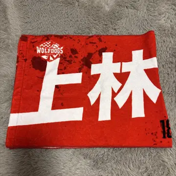 우에바야시 나오즈미 타월