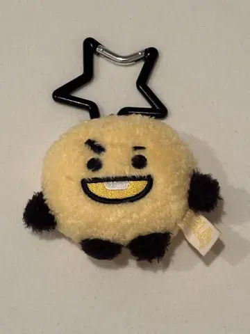 BTS SHOOKY 백참