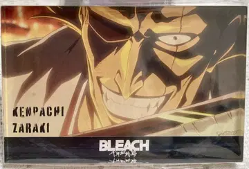 BLEACH 천년혈전편 한정판 아크릴 블록 아크릴 스탠드 사가키 켄파치