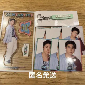FANTASTICS 세구치 레이야 포토 카드 아크릴 스탠드 러버 참