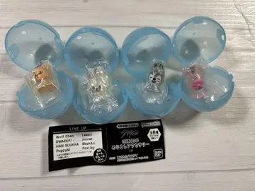 SKZOO 메지루시 액세서리 4종