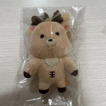 RIIZE 라이즈 성찬 봉제 인형 마스코트
