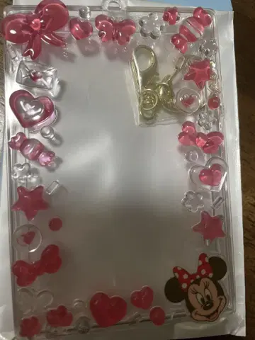미니 시크릿 카드 홀더