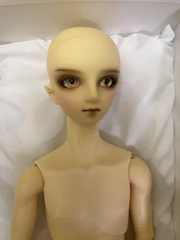 슈퍼돌피 Sdgr 본체